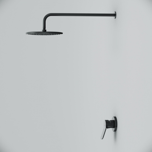 Набор: смеситель для душа, верхний душ с держателем AM.PM X-Joy, FB85A2R002