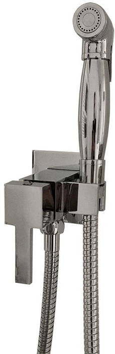 Гигиенический душ Paini 23753 со смесителем, С ВНУТРЕННЕЙ ЧАСТЬЮ