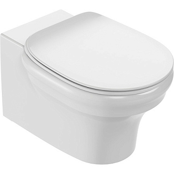 Подвесной унитаз Jacob Delafon Cleo EDZ102-0 безободковый, белый