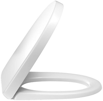 Крышка-сидение Jacob Delafon Odeon Up E70009-00