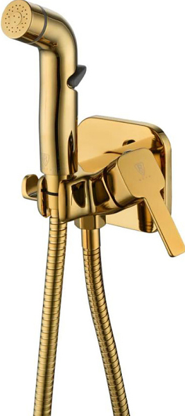 Смеситель с гигиеническим душем встраиваемый RUSH Capri (CA1435-99G)