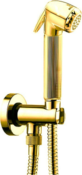 Гигиенический душ Bossini Nikita C69002 ORO