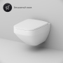 Унитаз подвесной AM.PM Inspire V2.0 C50A1700SC безободковый