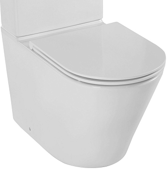 Чаша для унитаза-компакта Jacob Delafon Rodin+ UJAB102-00