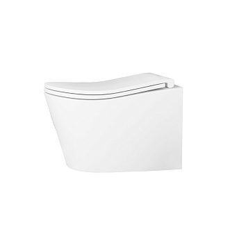 Унитаз подвесной с сиденьем, безободковый D&K Bamberg (DT1556516)