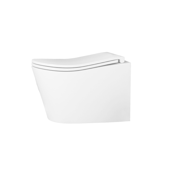 Унитаз подвесной с сиденьем, безободковый D&K Bamberg (DT1556516)