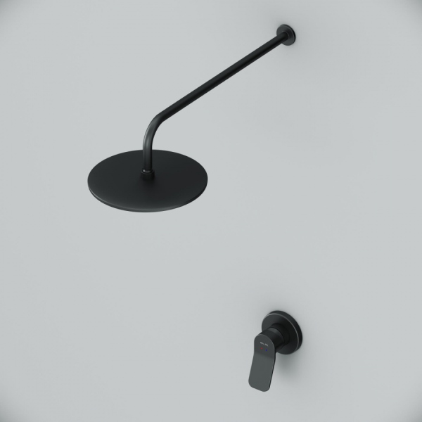 Набор: смеситель для душа, верхний душ с держателем AM.PM X-Joy, FB85A2R002