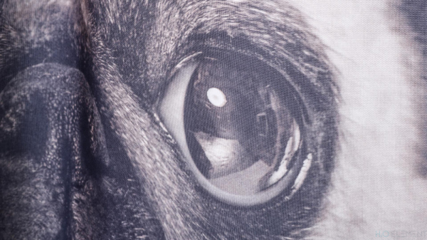 Штора для ванной Fixsen Fixsen Dogs FX-2504 без колец