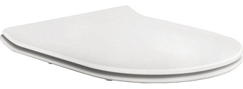 Сиденье для унитаза BelBagno Amara BB2019SC soft close