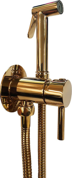 Гигиенический душ Paffoni Tweet Round ZDUP110HG со смесителем, С ВНУТРЕННЕЙ ЧАСТЬЮ