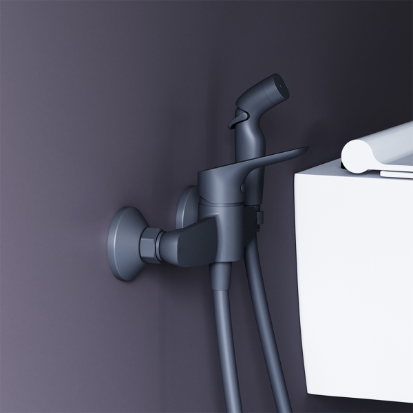 Смеситель для душа с гигиеническим душем Damixa Jupiter, 778000300 Смеситель для душа с гигиеническим душем Damixa Jupiter, 778000300