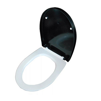 Крышка-сиденье Roca Victoria Nord Black Edition ZRU9302627 с микролифтом, петли хром