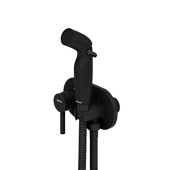 Смеситель, монтируемый в стену с гигиеническим душем Damixa Option, 212000300