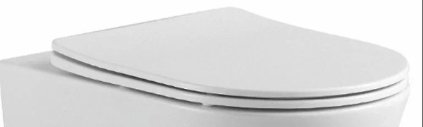 AQ0105-MW Крышка-сиденье Aquatek белое матовое для ЕВРОПА/ ВЕГА AQ1901/ AQ1902/ AQ1905/ AQ1906