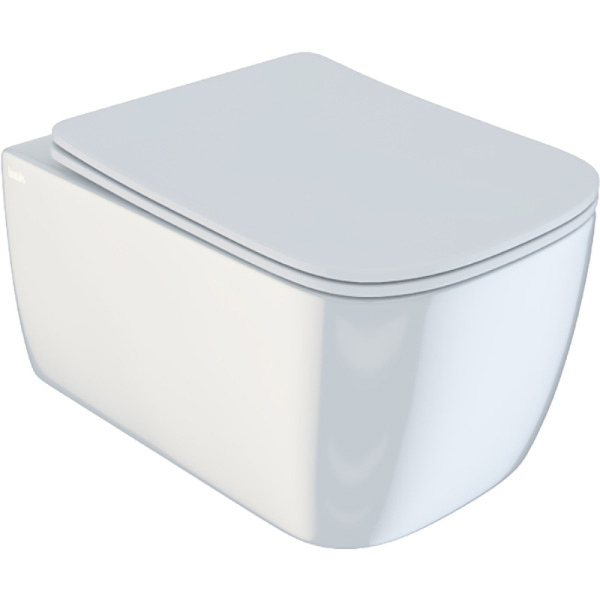 Чаша унитаза IDDIS Bridge подвесная безободковая (BRIRDSEi25)