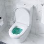 Унитаз-компакт AM.PM Inspire C508607WH