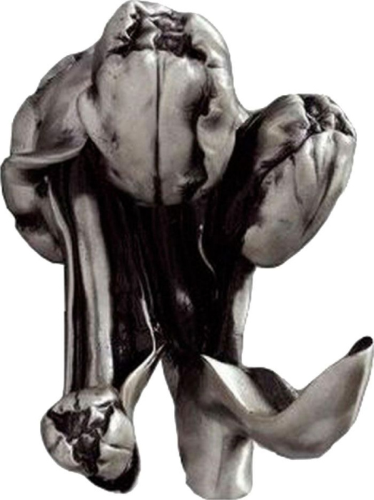 Крючок Art&Max Tulip AM-0822-T